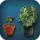 Grow Up Free Trial